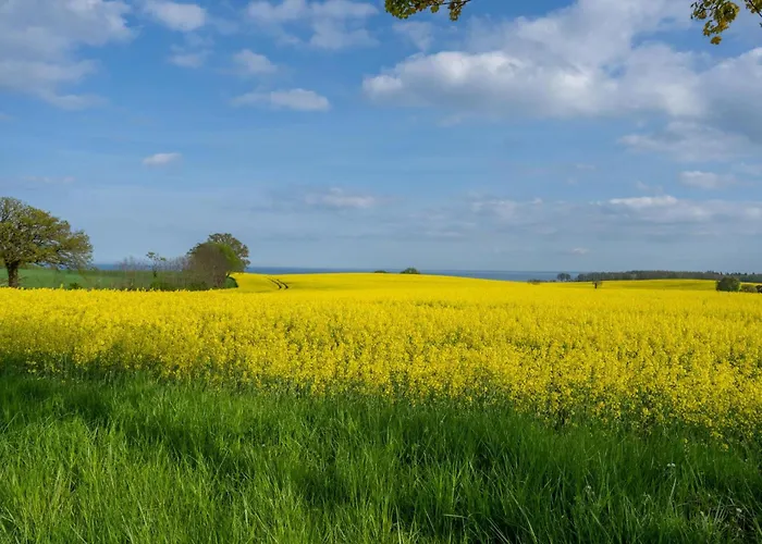 Strandhaus 2b Grömitz